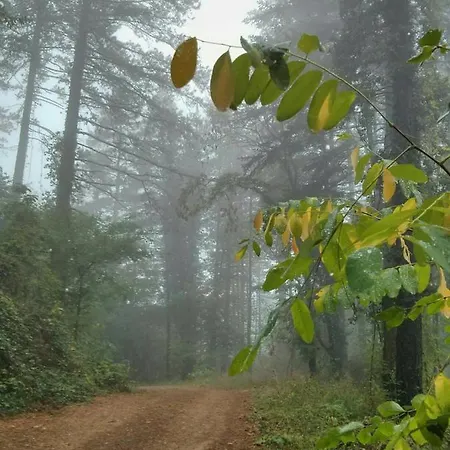 Apartmán La Maison Des Creatifs Montdardier