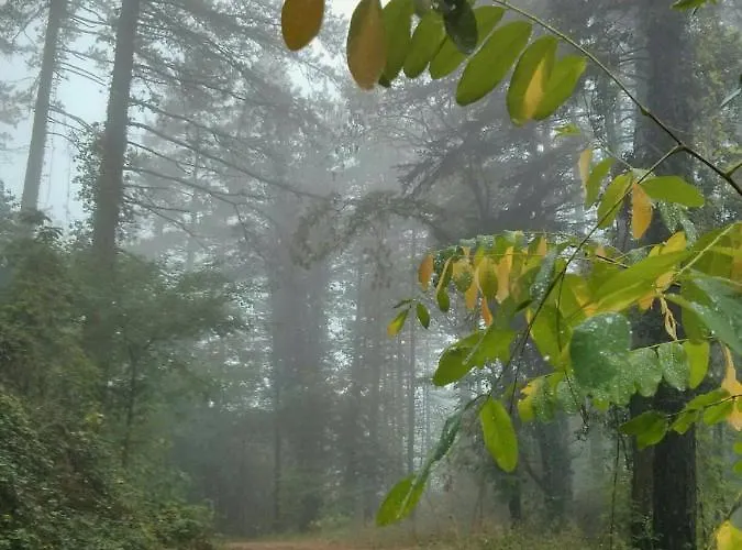 Apartament La Maison Des Creatifs Montdardier